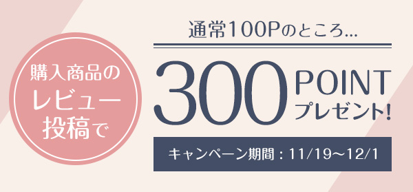 レビュー記入で300ポイントプレゼント