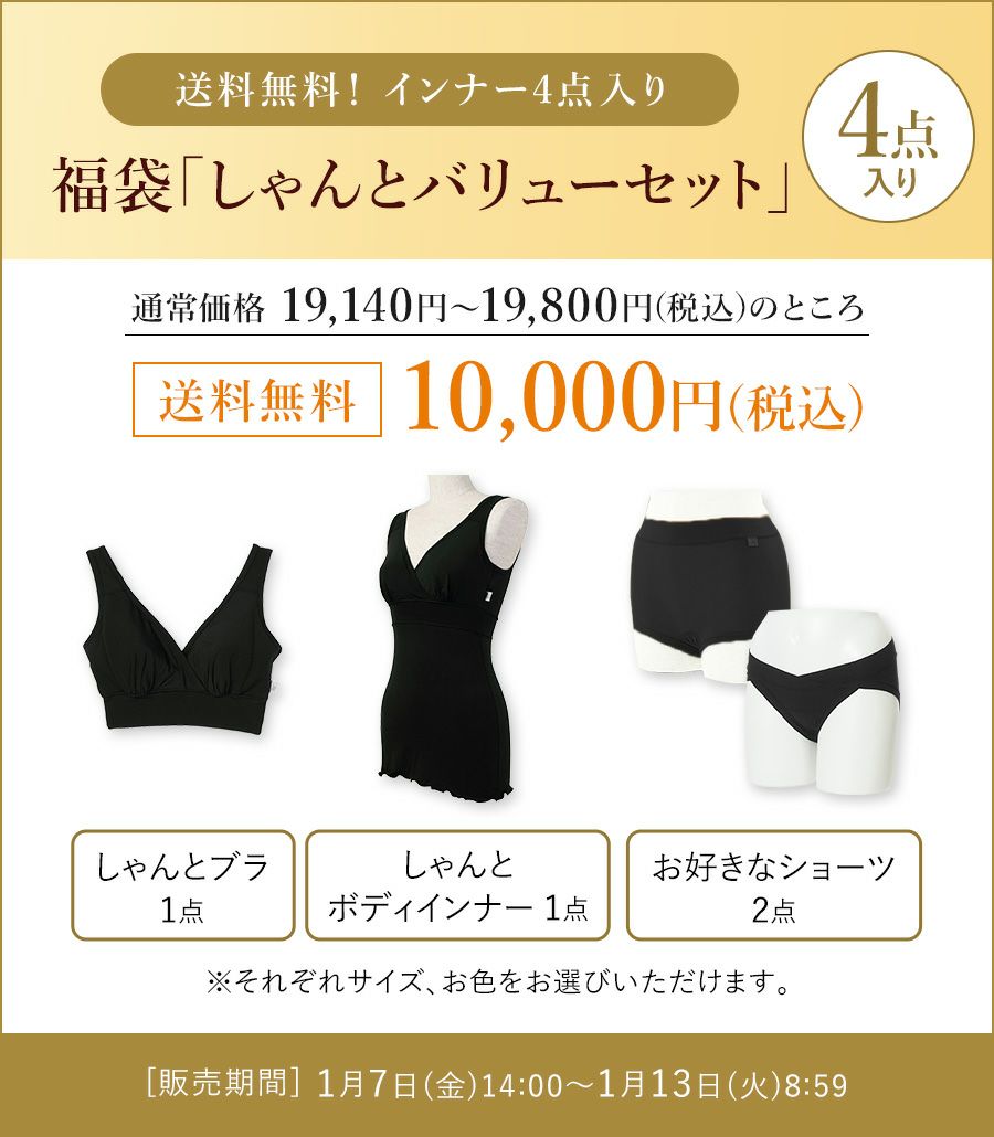 モーハウス　しゃんと　ボディインナー　Lサイズ4枚セット 福袋 しゃんとバリューセット☆4点入り （しゃんとブラ/しゃんとボディ